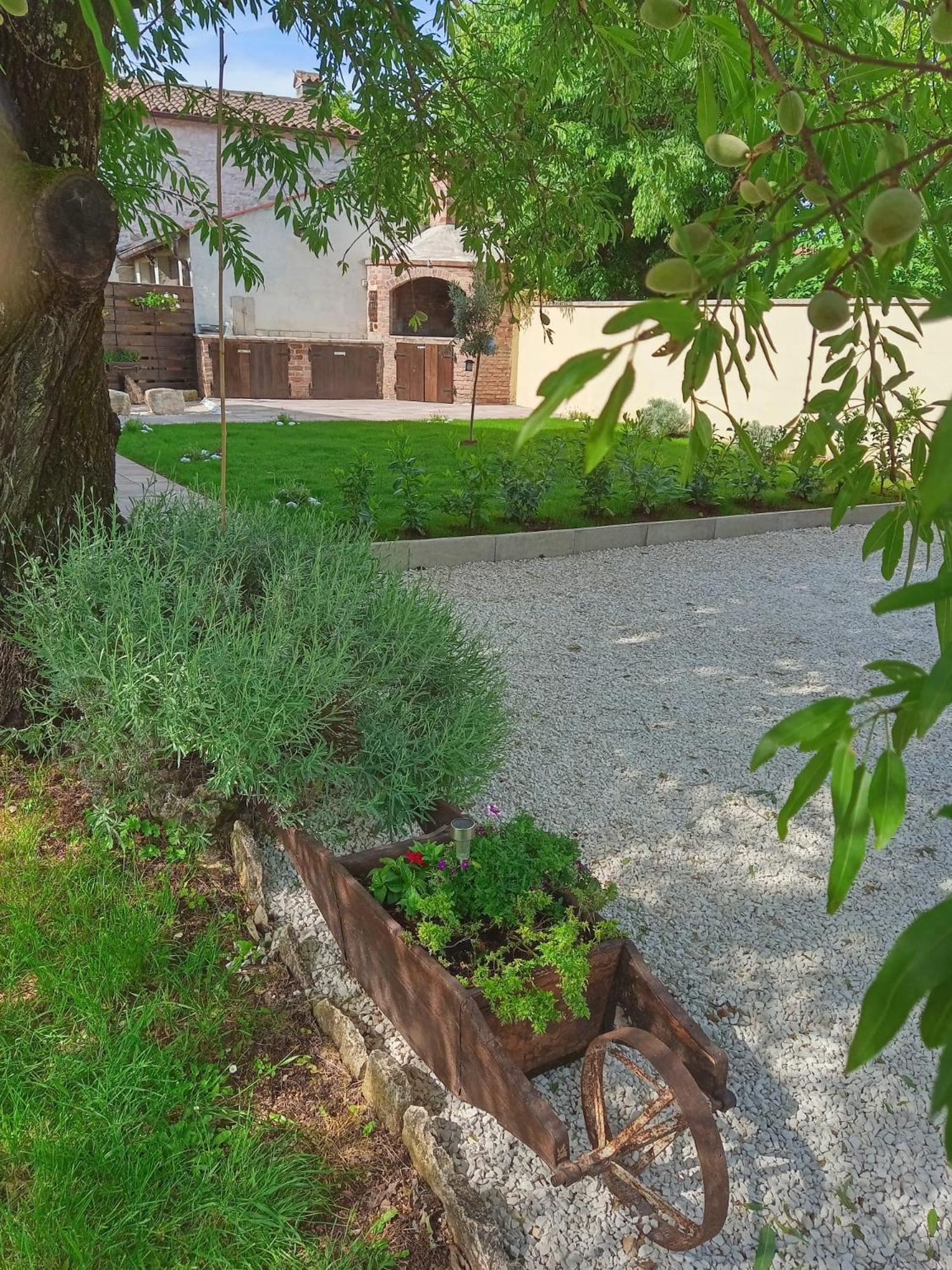 House Mario Near Rovinj Lejlighed Kanfanar Eksteriør billede
